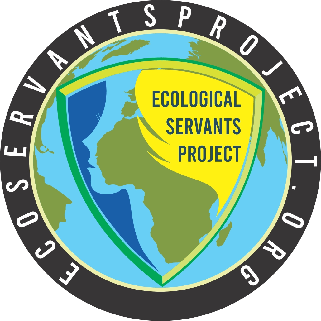 The Most Interesting Geological Formations in America EcoServants