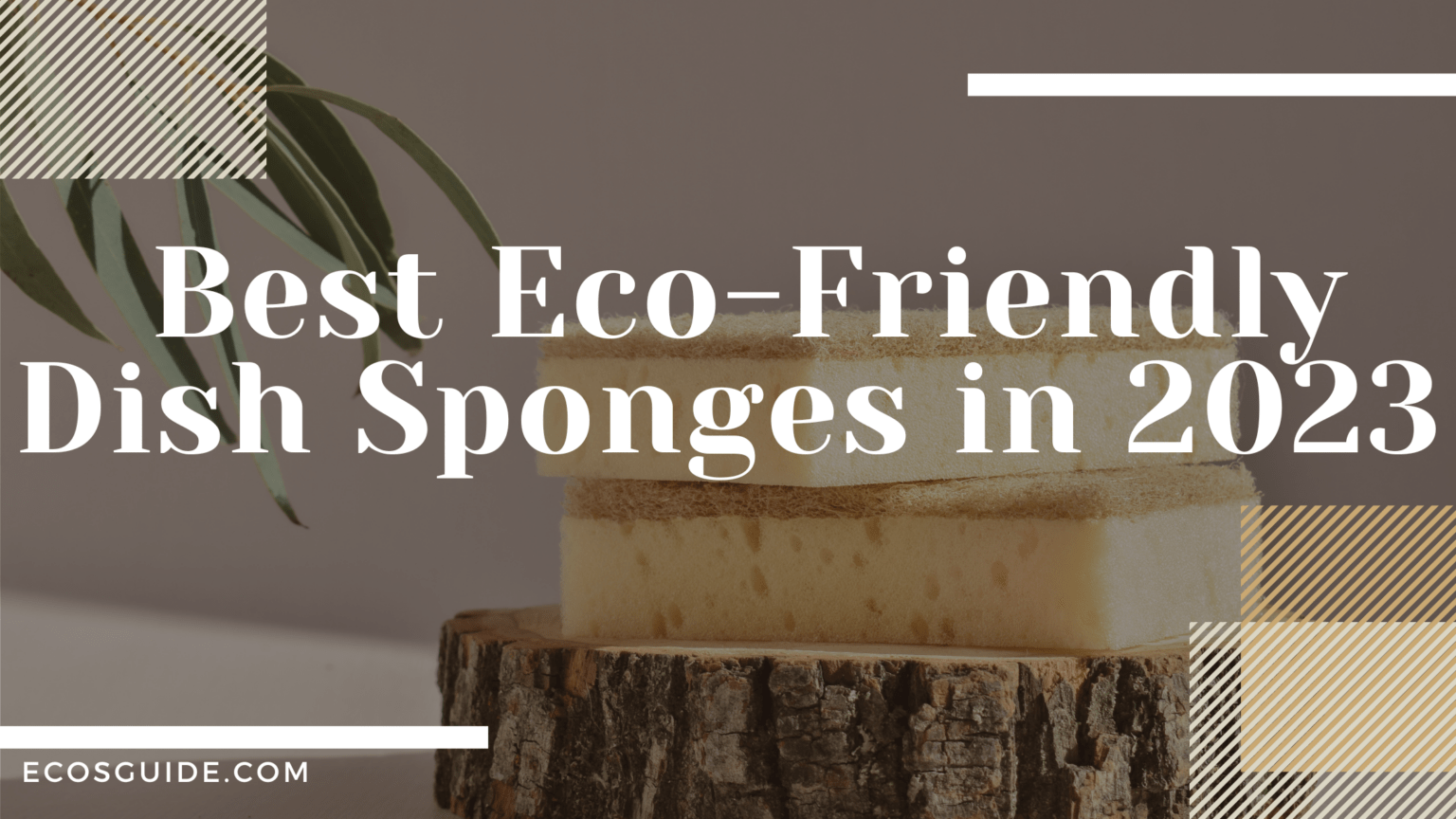 5 Best EcoFriendly Dish Sponge For Greener Kitchen In 2023