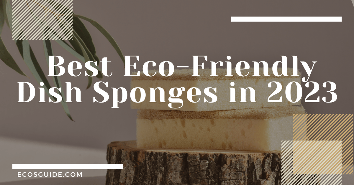 5 Best EcoFriendly Dish Sponge For Greener Kitchen In 2023