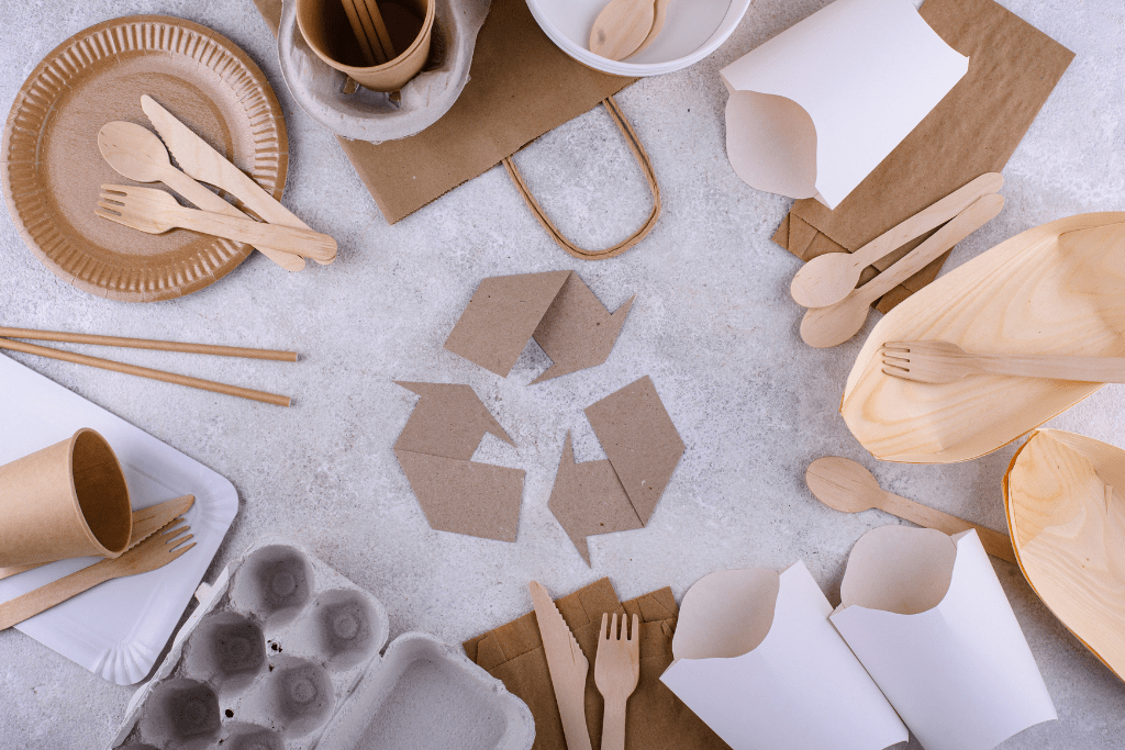 Best Sustainable Products For Daily Use Ecosguide