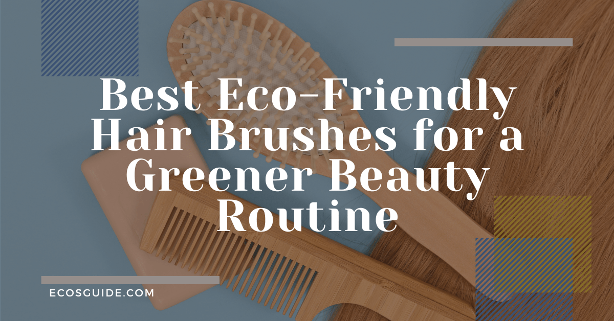 5 Best EcoFriendly Hair Brush You Must Try! In 2024