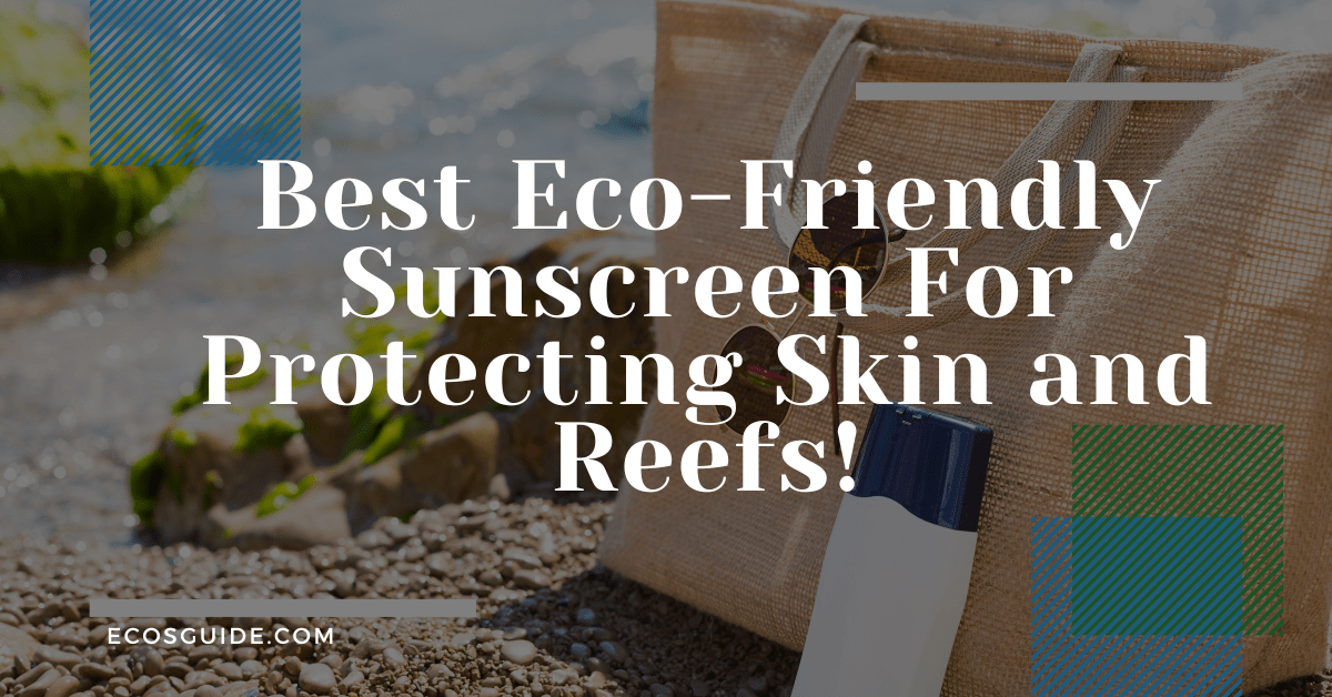 5 Best EcoFriendly Sunscreen Protecting Skin & Reefs 2024