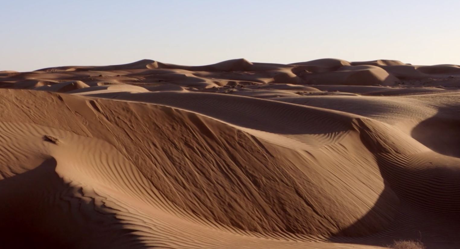 Desierto; Clima, flora, fauna y características OVACEN