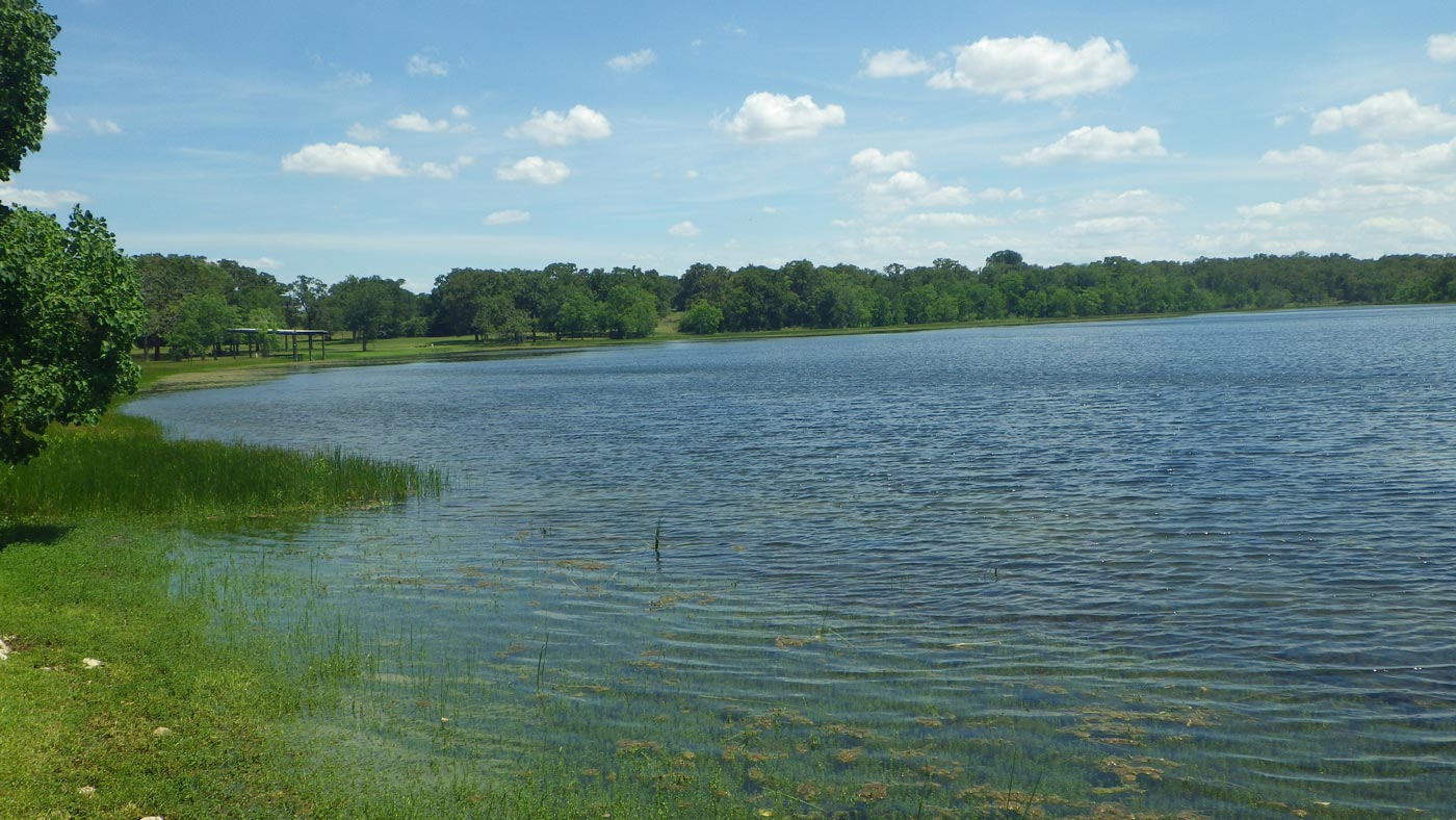 Millican Reserve Ecosmart Solution