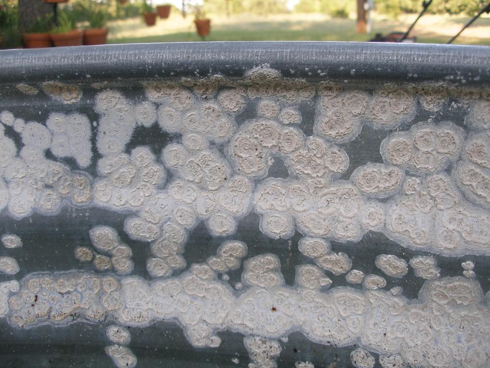 whiterust 2 EcoSoch Solar