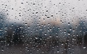 Moisture Control Buildings