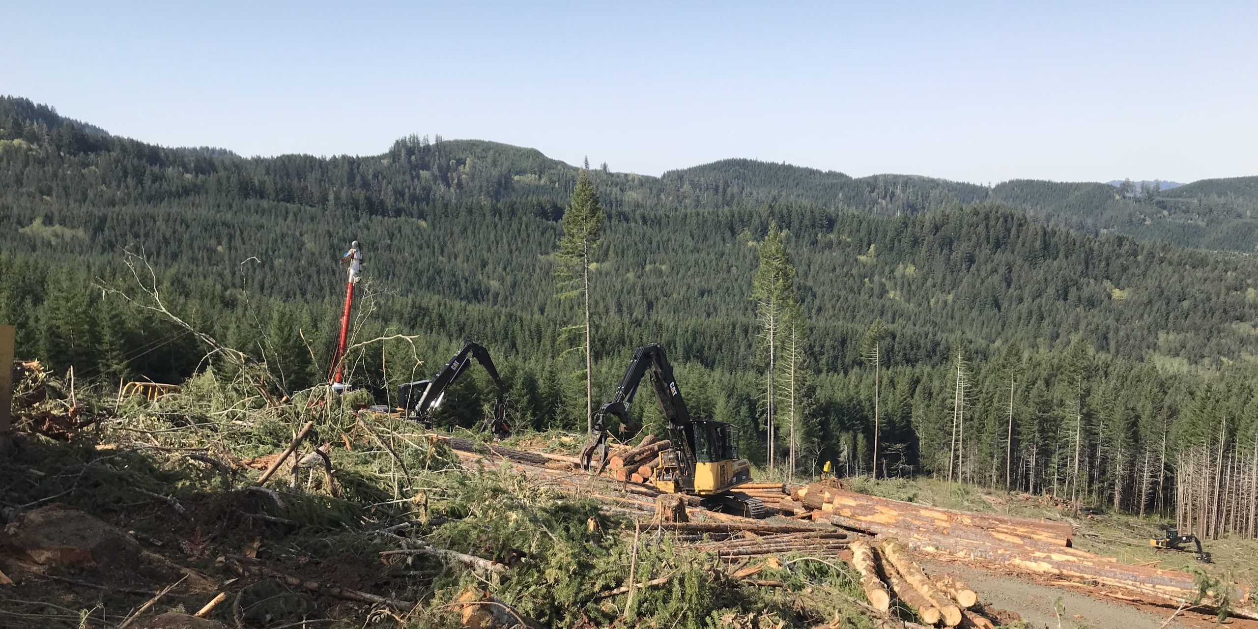 Ecostrat Lewis County, Washington Issued BDO Zone 'AA' Rating for Woody Biomass Ecostrat