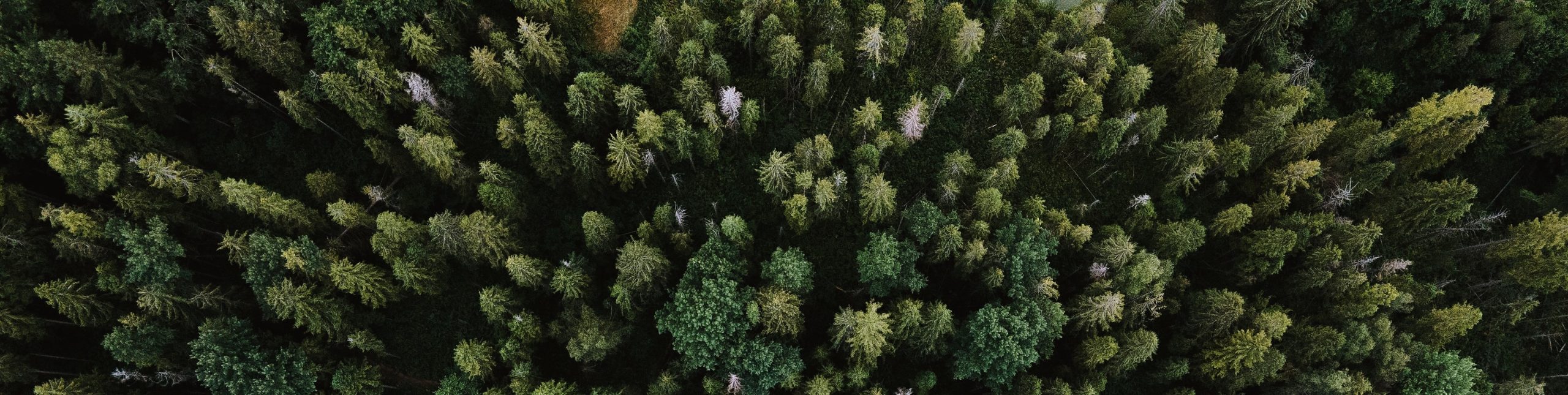 Ecostrat Bon Wier, TX awarded first BDO Zone ‘AA’ Rating in North