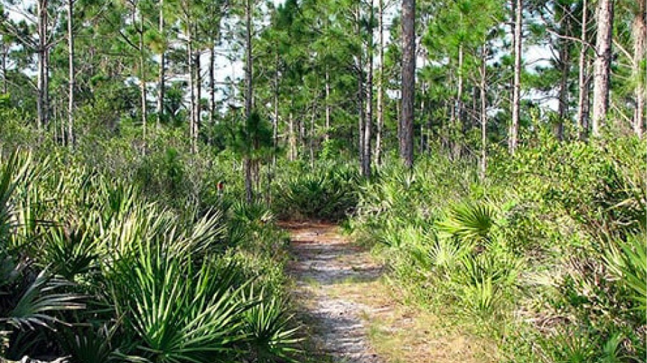 Palm Bay EcoSun Homes