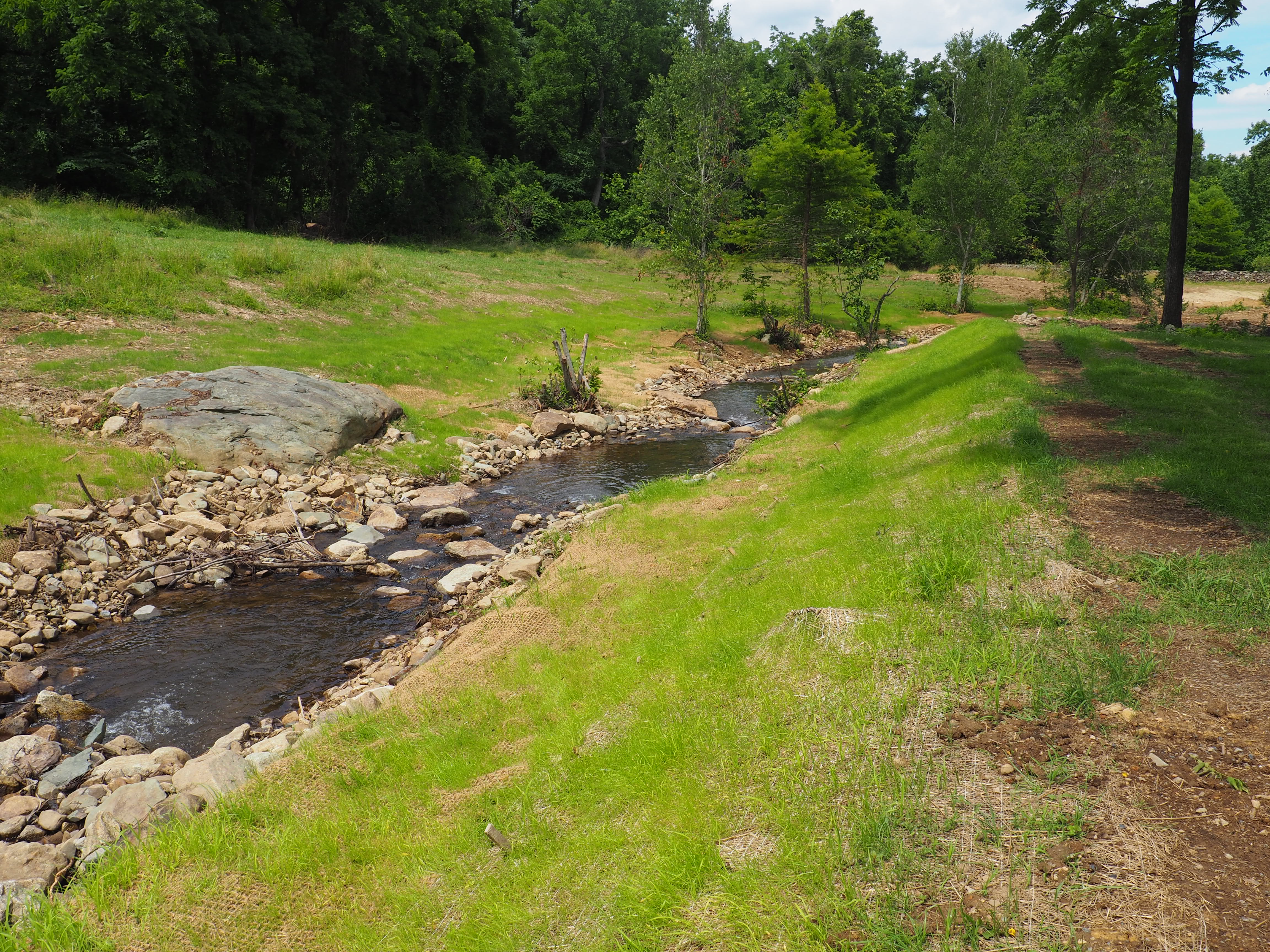 Bolton Branch Fish Passage & Stream Restoration Ecosystem Services