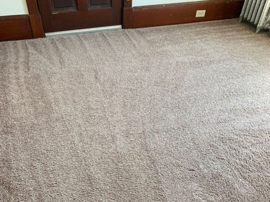 Project Showroom EcoTech Carpet Clean