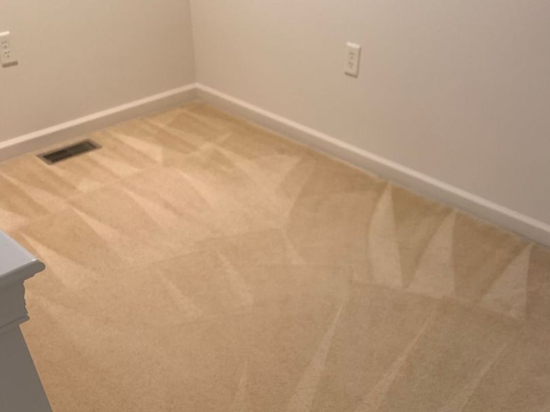 Project Showroom EcoTech Carpet Clean