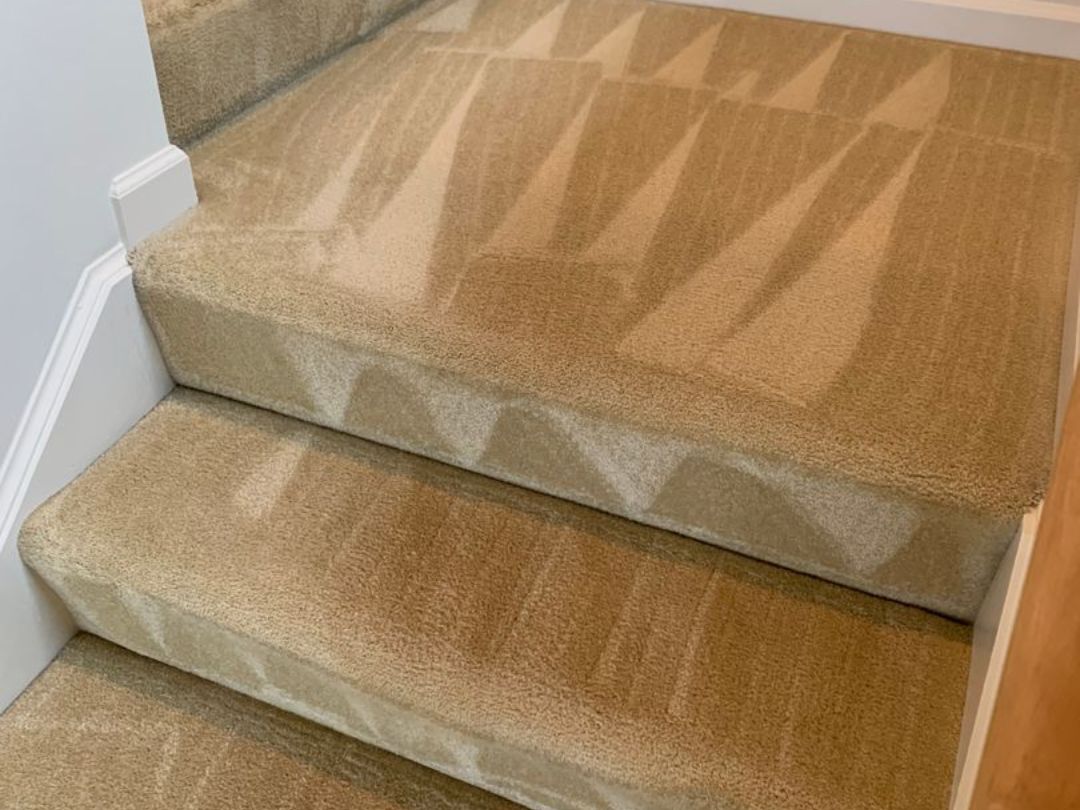 Best Carpet Cleaner For Pet Urine Lancaster County | Urine Gone