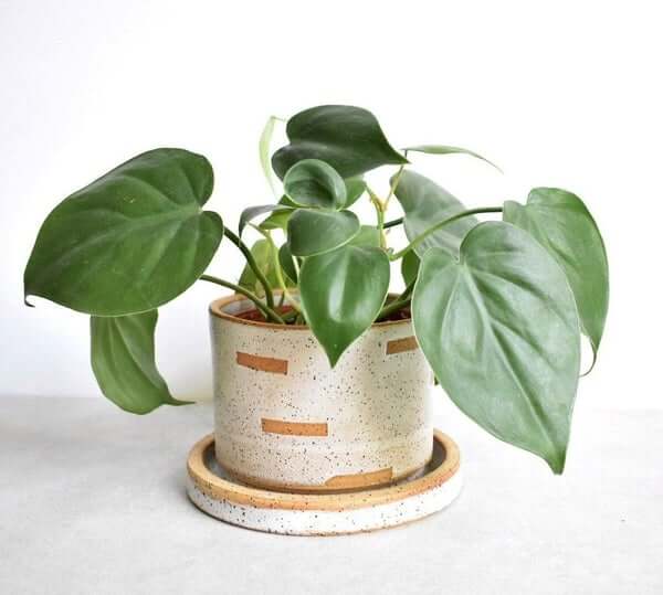 9 Best Eco Friendly Handmade Plant Pots for 2024