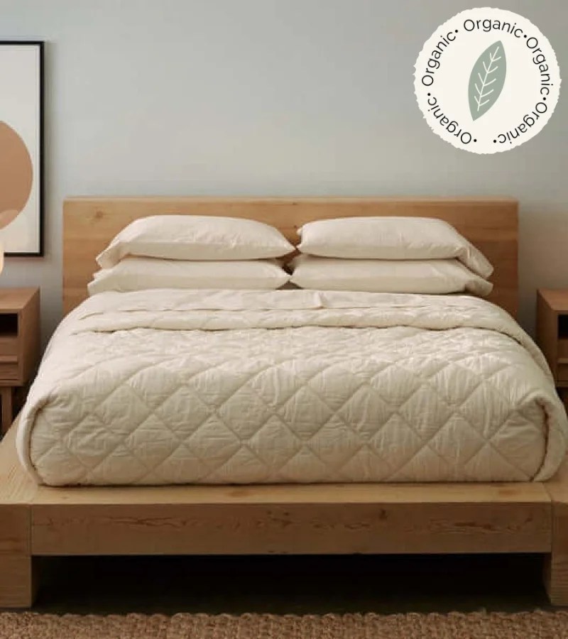 7 Organic Cotton Comforters for a Cozy Sleep [2024]