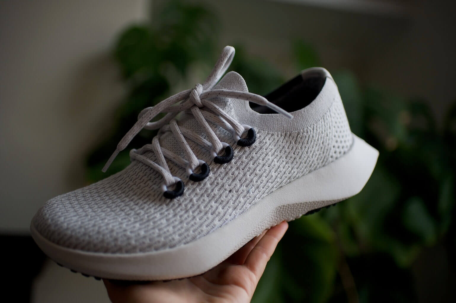 Allbirds Tree Dasher Review Dasher 2.0 vs Dasher 1.0