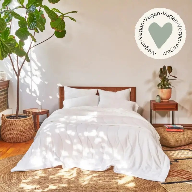 8 Vegan Comforters for a Cozy Sleep (2024)
