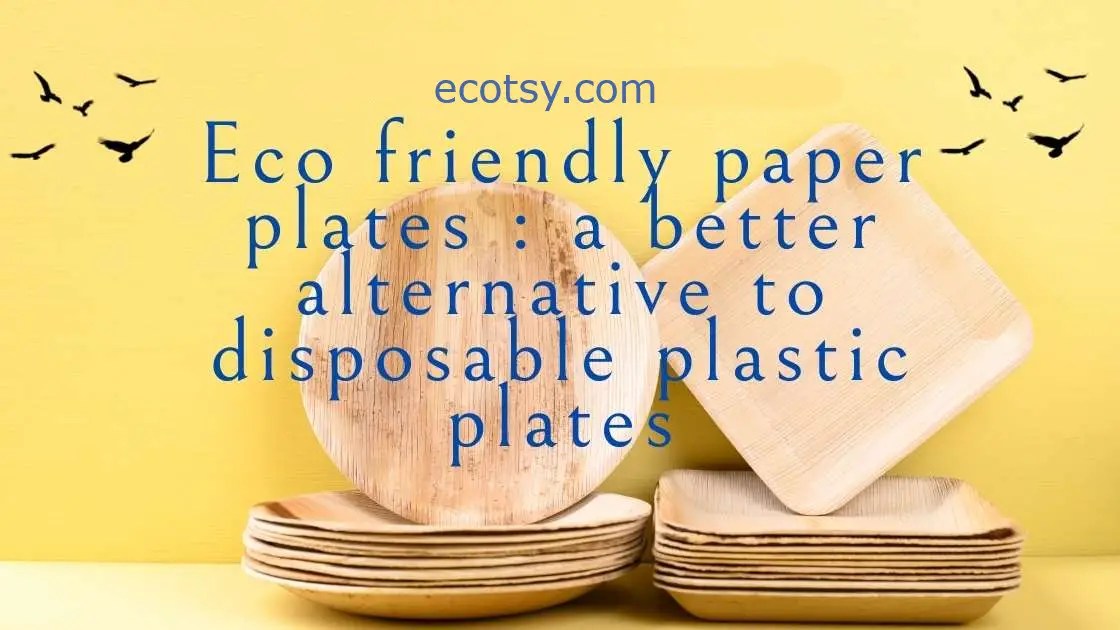 What are Eco friendly paper plates and why use them? Ecotsy