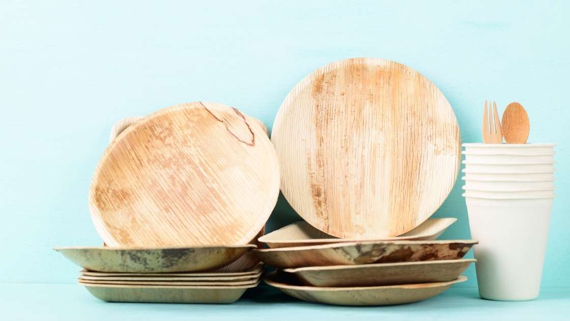 What are Eco Friendly Plates, their benefits and drawbacks Ecotsy