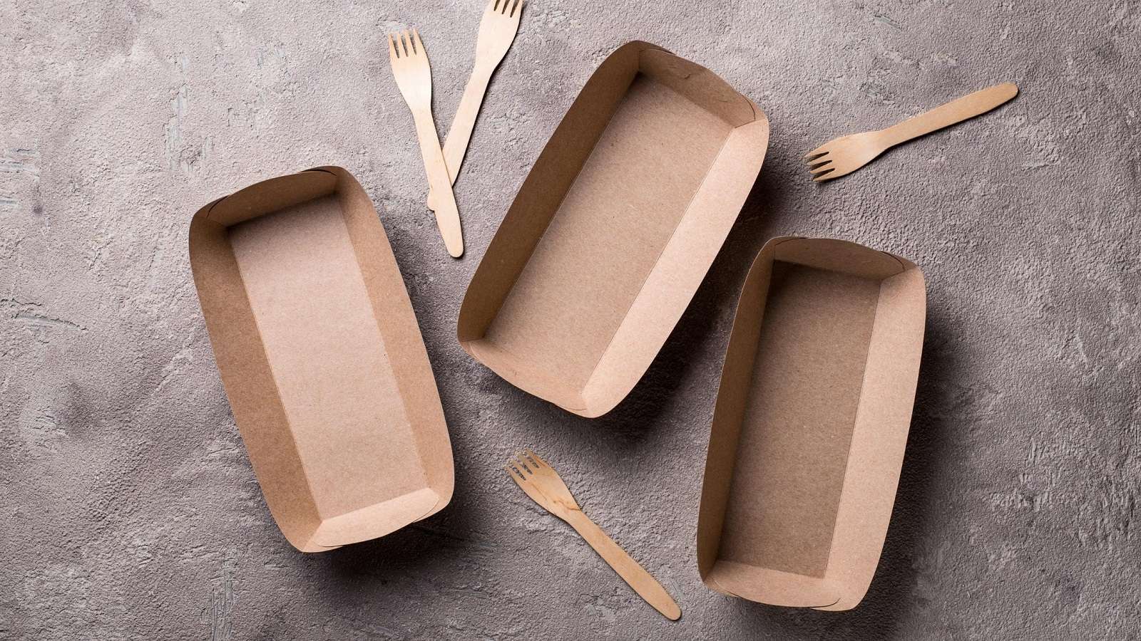 Eco Friendly Disposable Food Containers That Are Green And Sustainable