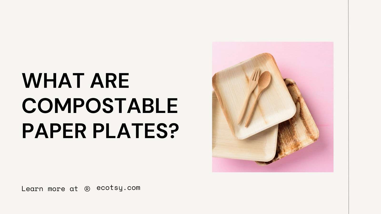 What Are Compostable Paper Plates? Ecotsy