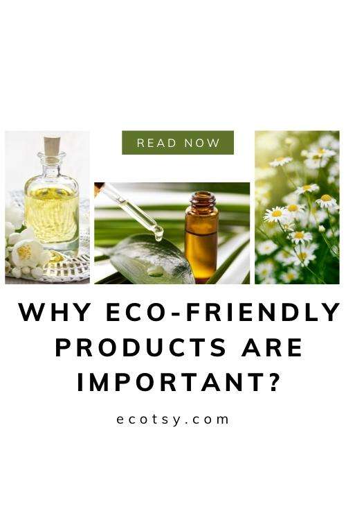 Why Eco friendly products are important? Ecotsy