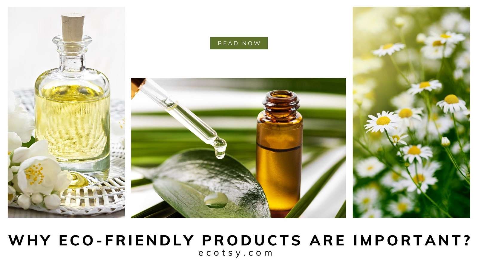 Why Eco friendly products are important? Ecotsy