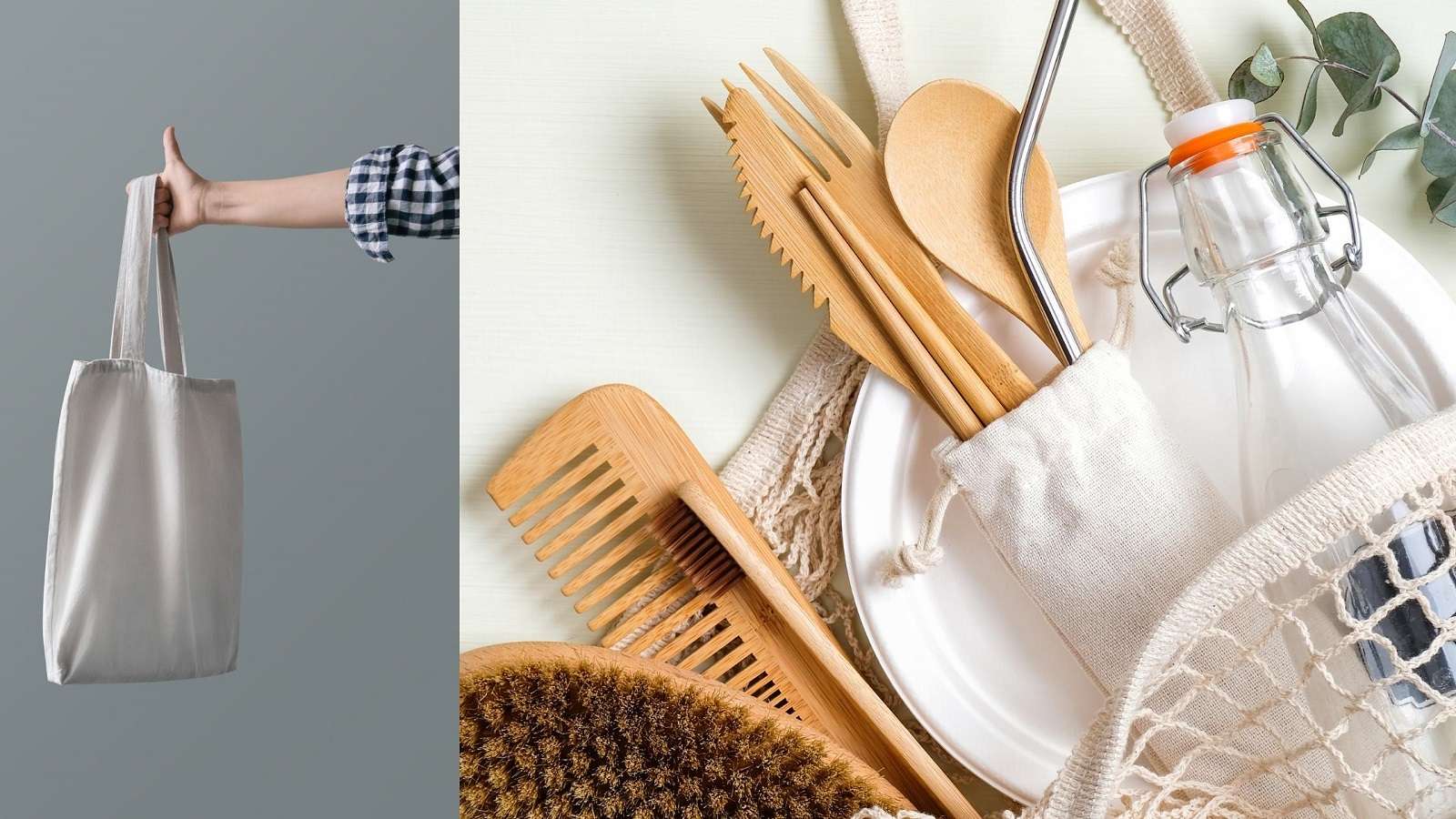 Why Eco friendly products are important? Ecotsy