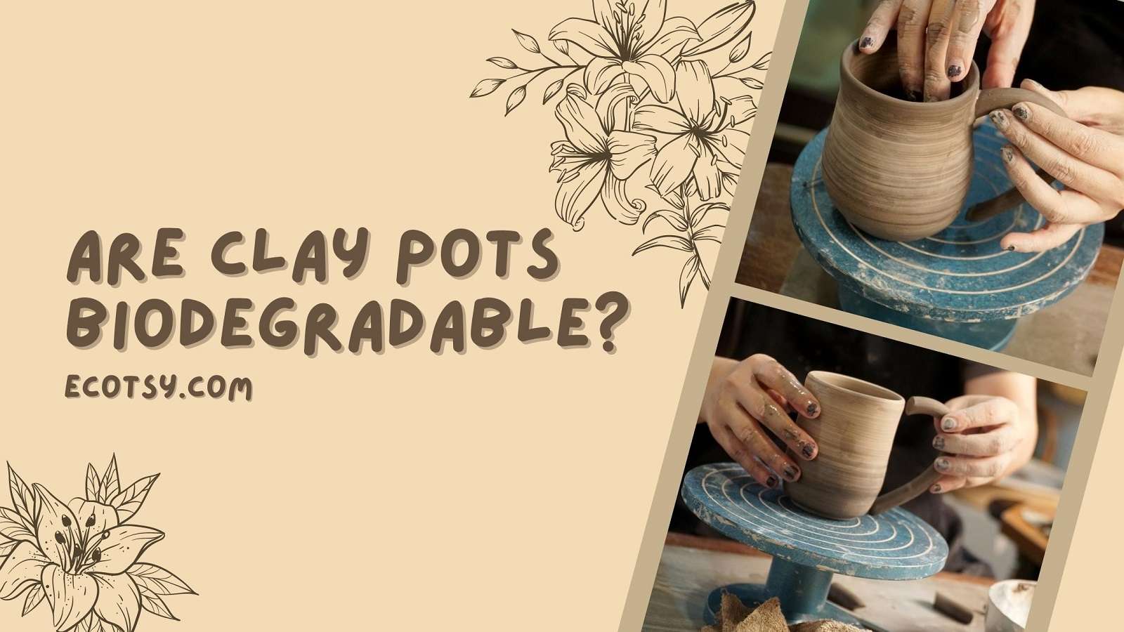 Are clay pots biodegradable? Ecotsy