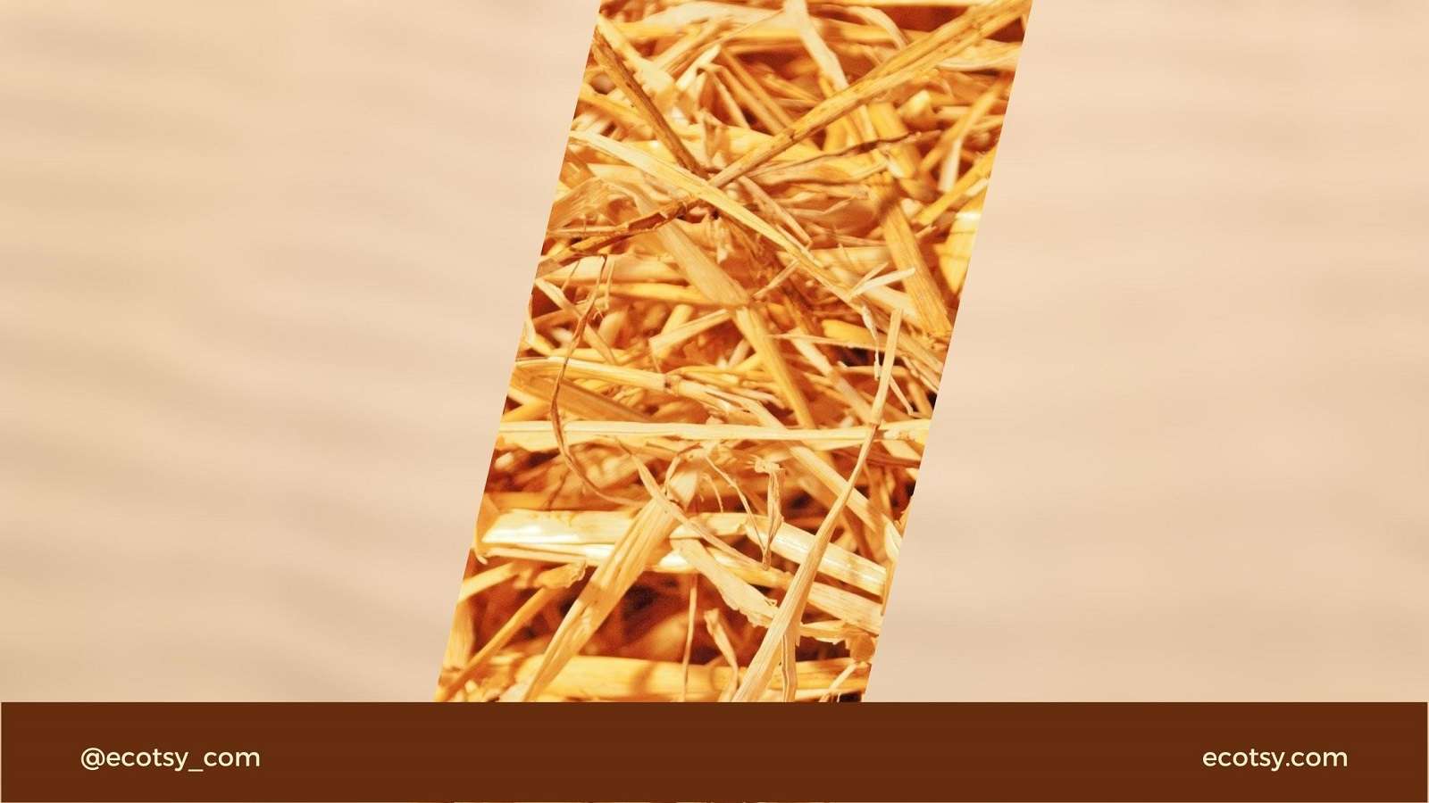 Is wheat straw plastic biodegradable? Ecotsy