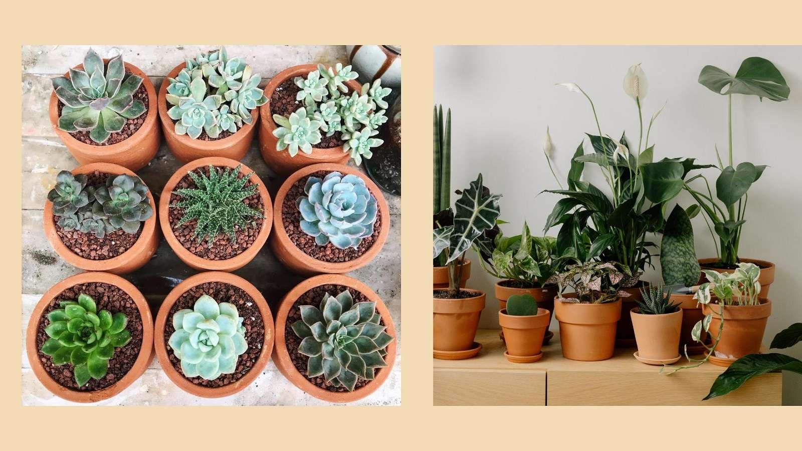 Are clay pots biodegradable? Ecotsy