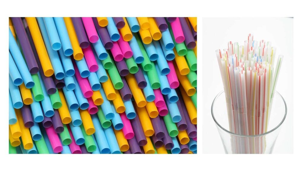 Is wheat straw plastic biodegradable? Ecotsy