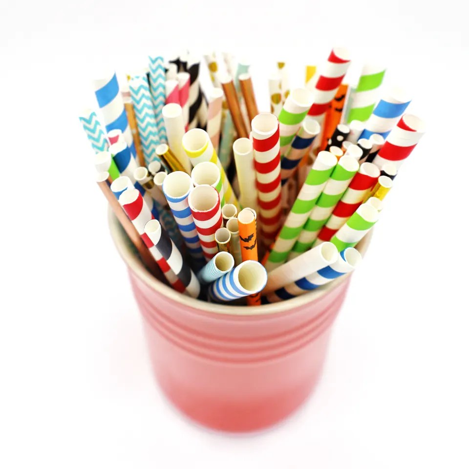 Disposable Regular Paper Straws Ecoware