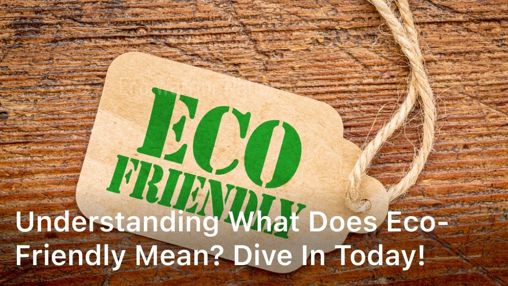 Understanding What Does EcoFriendly Mean? Dive In Today!