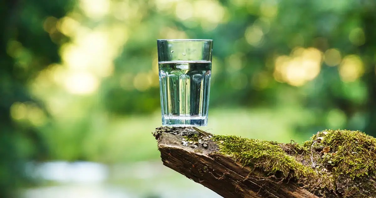 7 Reasons Why EcoWater is the Best Home Water Filtration System