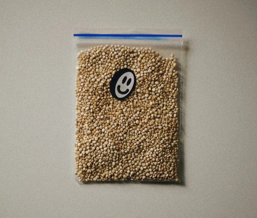 Can You Recycle Ziploc Bags? Sustainable Storage