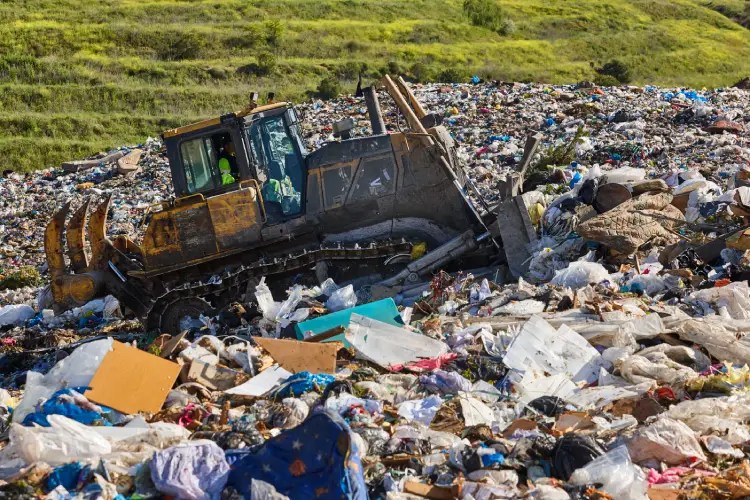 How Littering Affects the Environment Revealing its Impact