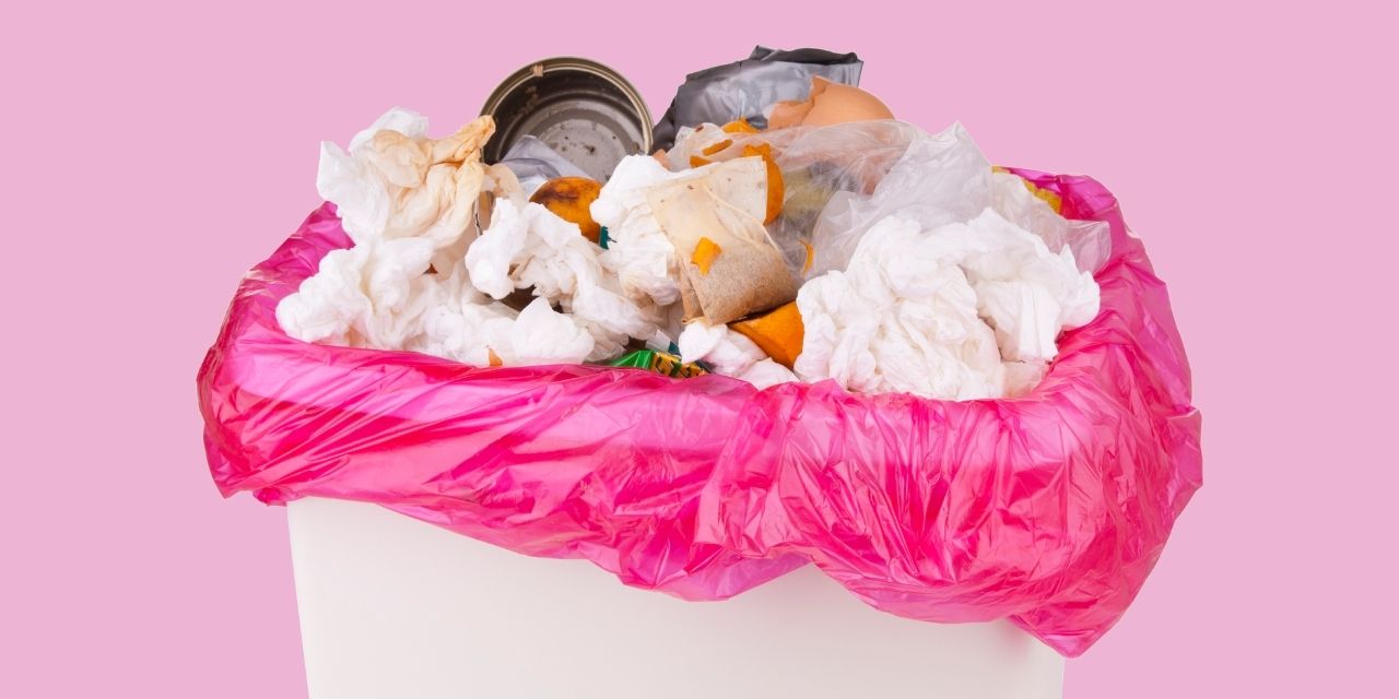 Ecozone's Ultimate Bin Cleaning Guide for a Happy and Healthy Bin