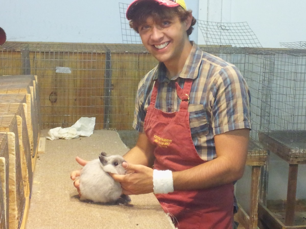 Essex County Rabbit and Cavy Breeders