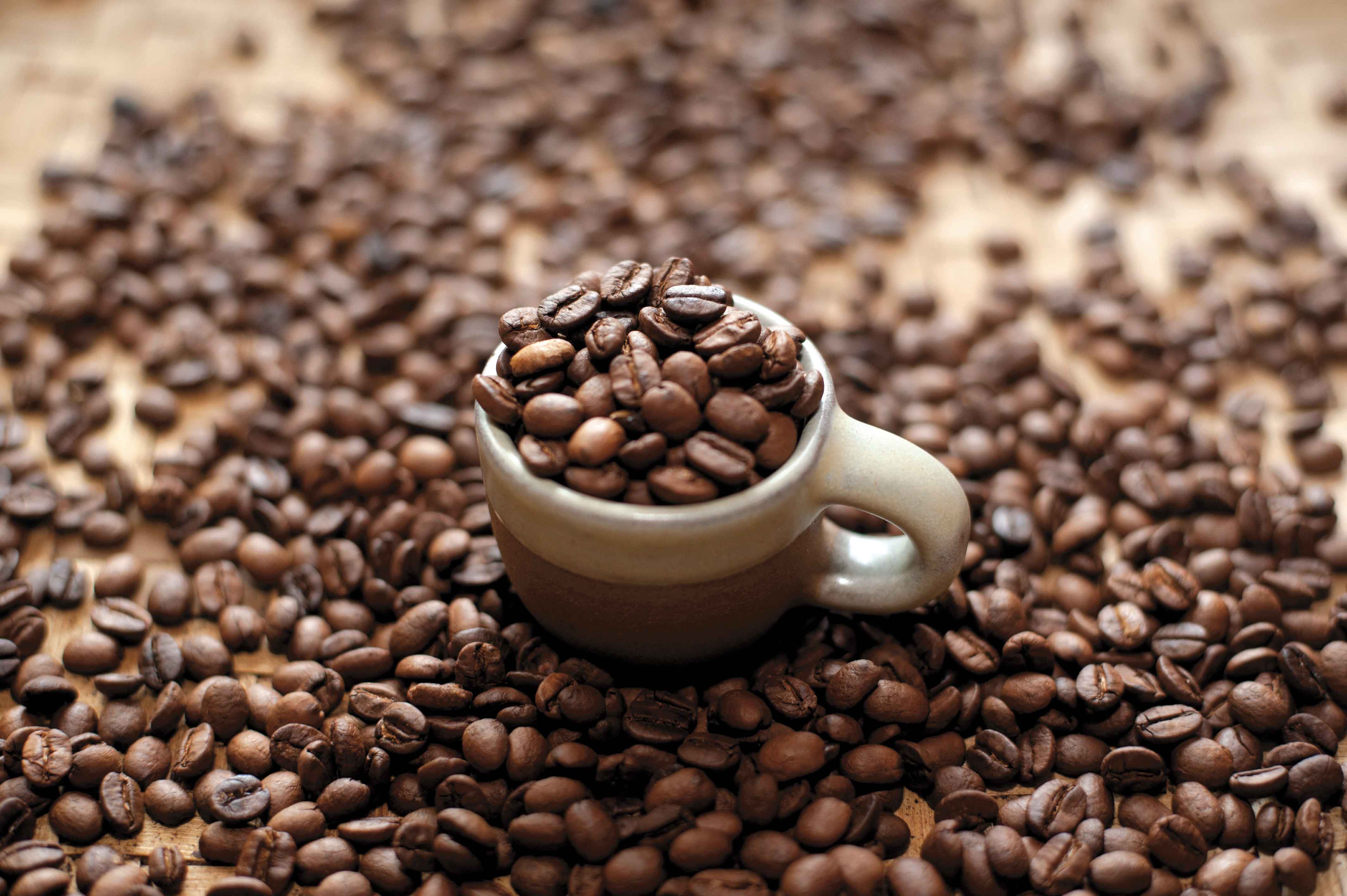 The Begum of Oudh is Indulgedâ€¦ Features ECSNEPAL The Nepali Way