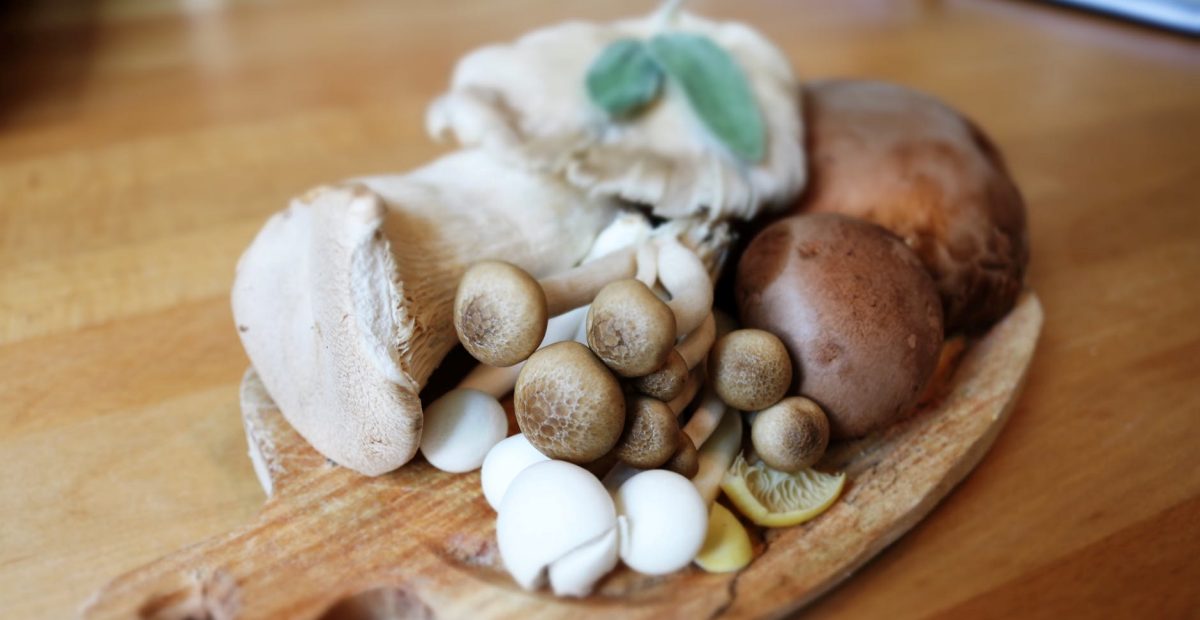 15 Jenis Jamur yang Bisa Dimakan dan Bernutrisi