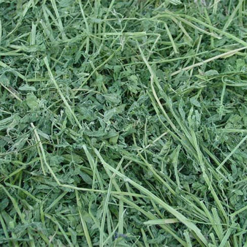 Hay Lucerne East Coast Stockfeeds