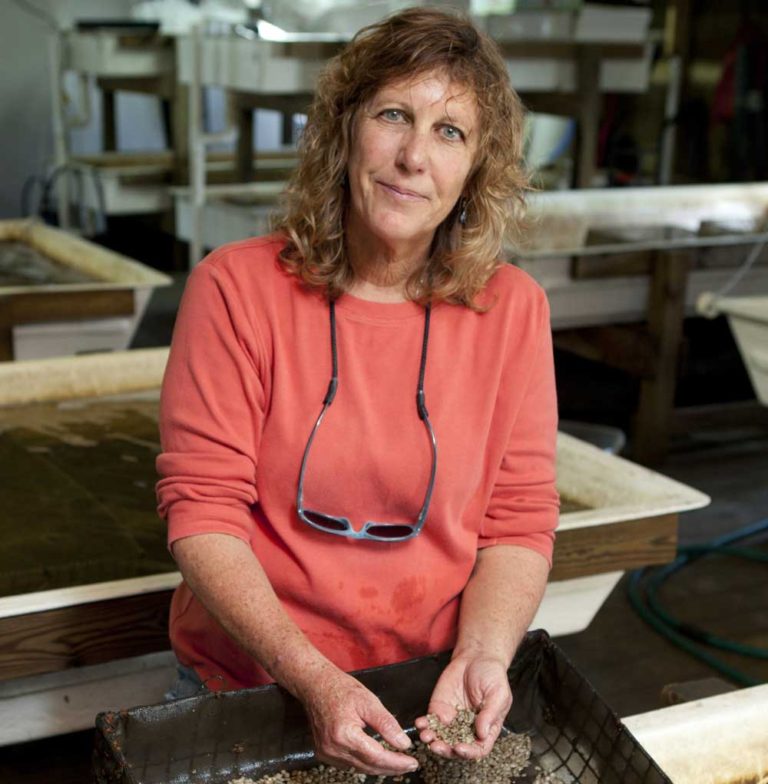 SturmerBOD East Coast Shellfish Growers Association