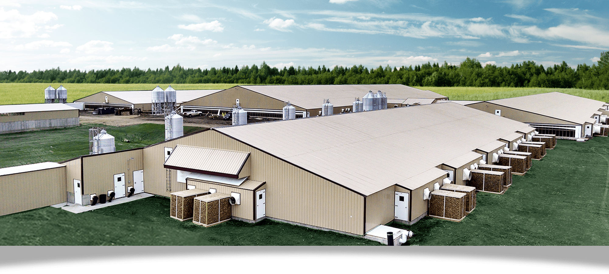 Home Environment Control Systems of Morris Morris, MN Hog