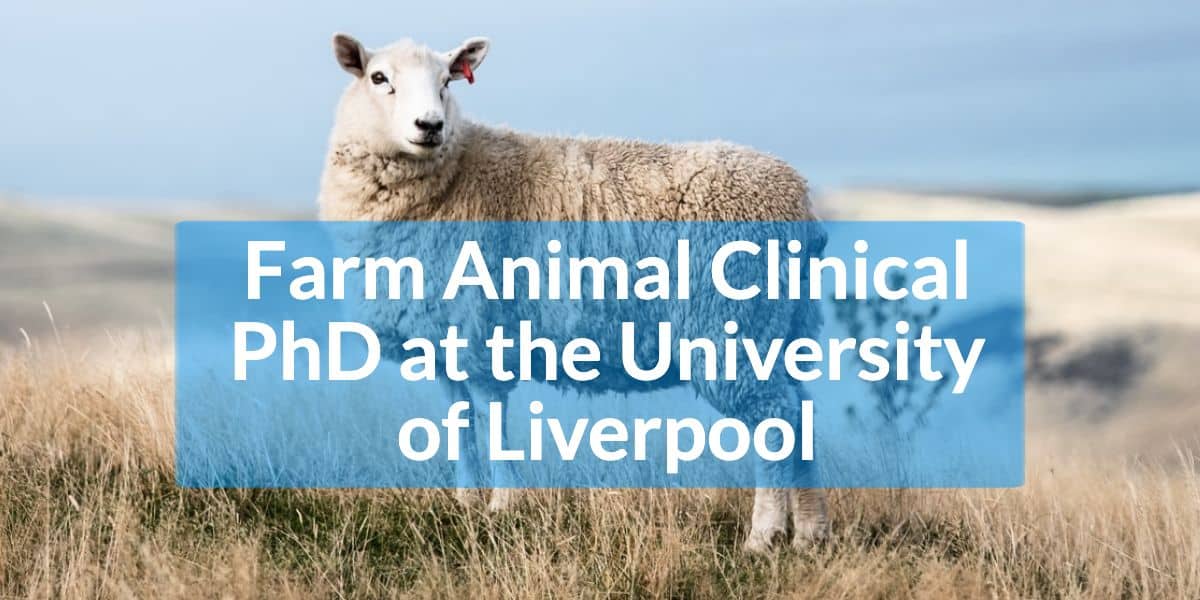 Farm Animal Clinical PhD at the University of Liverpool ECSRHM