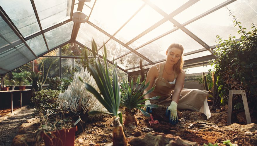 Careers in Botany ECT