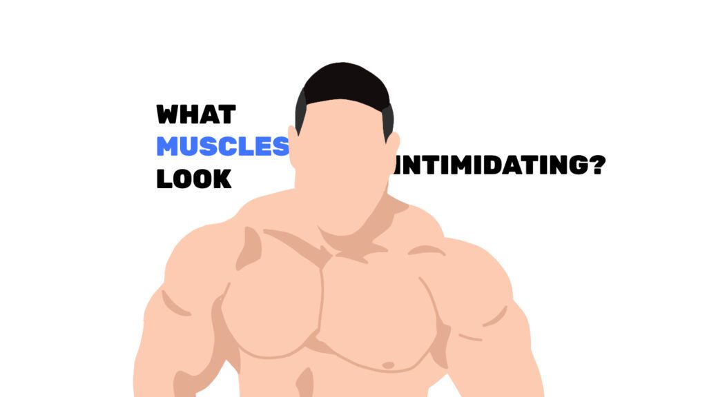What Muscles Make You Look Intimidating? Ectomorphing