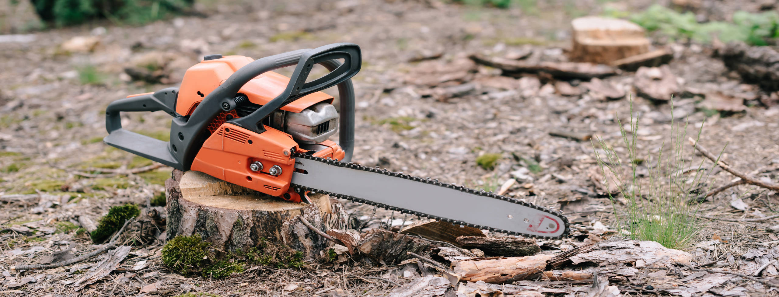 Tree Service Eau Claire, WI Greener Pastures Tree Service