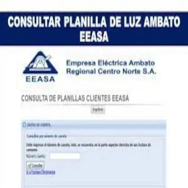 Consultar planilla de luz Ambato (EEASA) 2024 ecu11