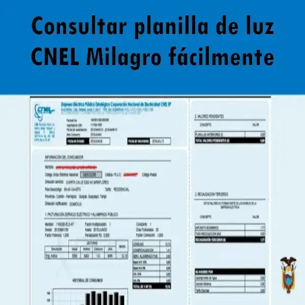 Consulta planilla de luz 2024 ecu11